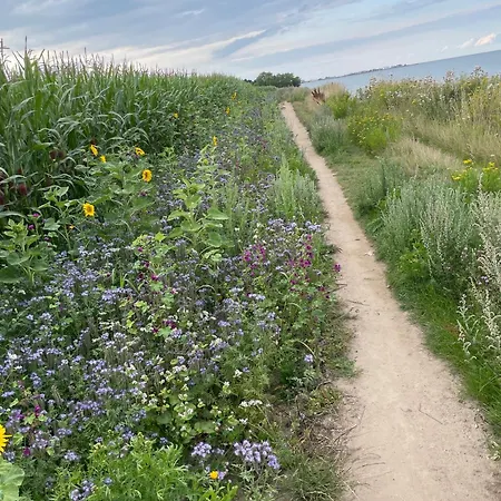 Solund - Sonne Im Herzen - Ruhige Und Sonnige Mit Terrasse Und Garten Nahe Und Ostsee * Schönhagen